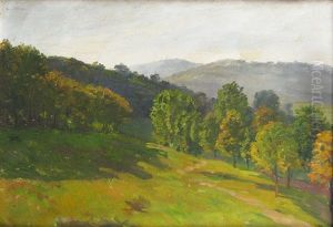 Hill Landscape by Alexandru Popp