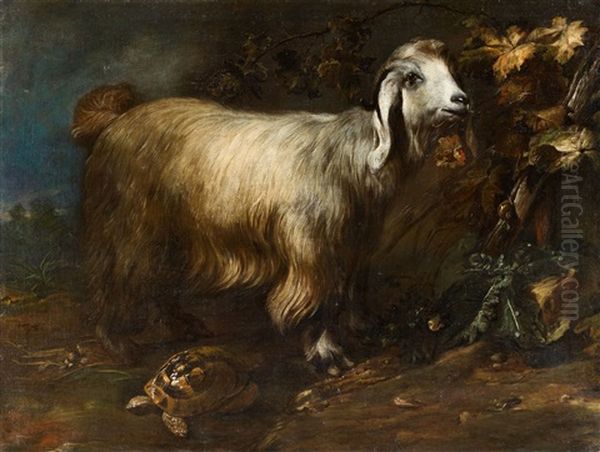A Goat, Tortoise And Snail In A Forest Landscape - view 1