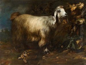 A Goat, Tortoise And Snail In A Forest Landscape