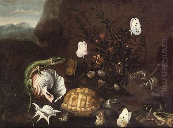 Frogs, A Tortoise And A Lizard On A Forest Floor With Shells And Butterflies - view 1