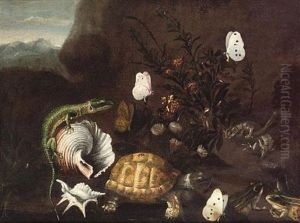 Frogs, A Tortoise And A Lizard On A Forest Floor With Shells And Butterflies by Paolo Porpora