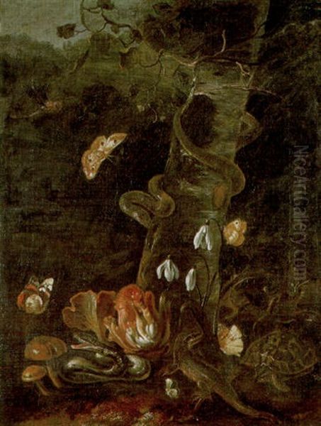 Snakes, A Lizard And A Tortoise Amid Mushrooms In The Undergrowth - view 1
