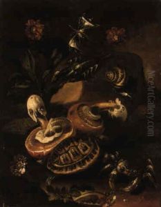 A Tortoise, Crab, Snail, Crayfish And Butterfly Among Plants And Mushrooms by Paolo Porpora