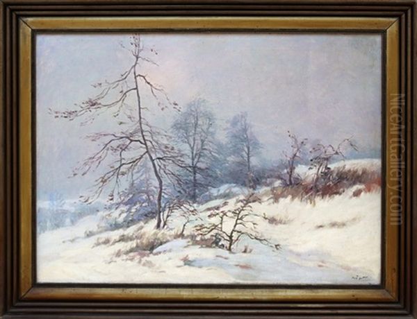 Zimni Krajina - view 1