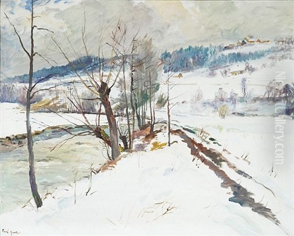Zimni Krajina - view 1