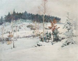 Birches In Winter