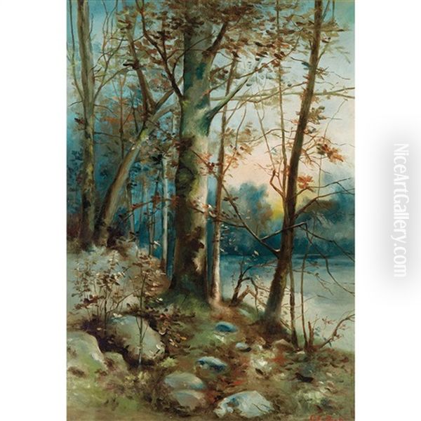 Lake View - view 1