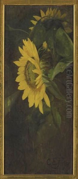 Sunflowers - view 1
