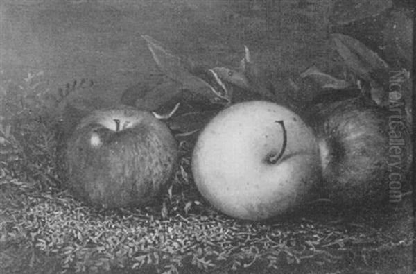 Apples - view 1