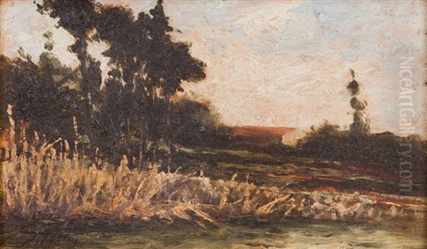 Landscape - view 1