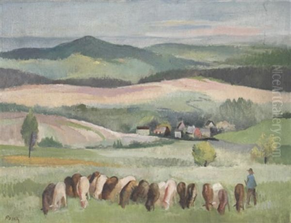 Landschaft Im Odenwald Mit Hirte Und Weidender Herde - view 1