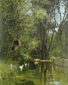 Waldteich Mit Weiden Links Im Vordergrund Ganschen