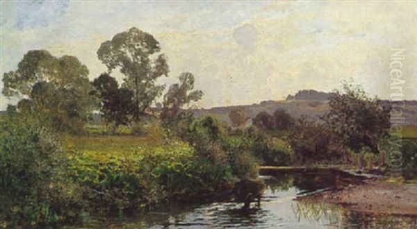 Flusslandschaft - view 1