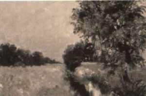 Wiesenlandschaft Mit Fluslauf Wiesenlandschaft Mit Fluslauf