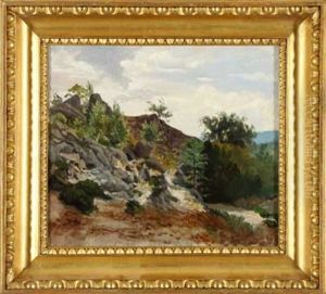 Die Teufelsmauer Im Harz