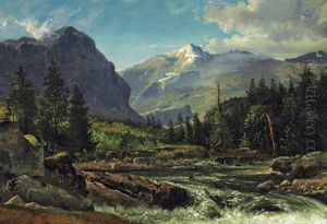 Alpenlandschaft Mit Wildbach