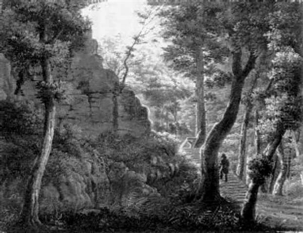 Die Ruine Im Walde - view 1