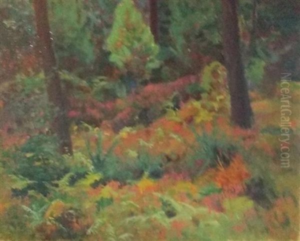 Paysage - view 1