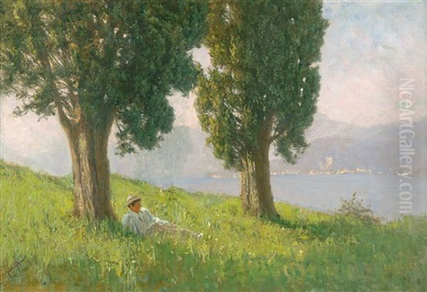 Siesta Unter Baumen Am Comer See Im Sommer - view 1