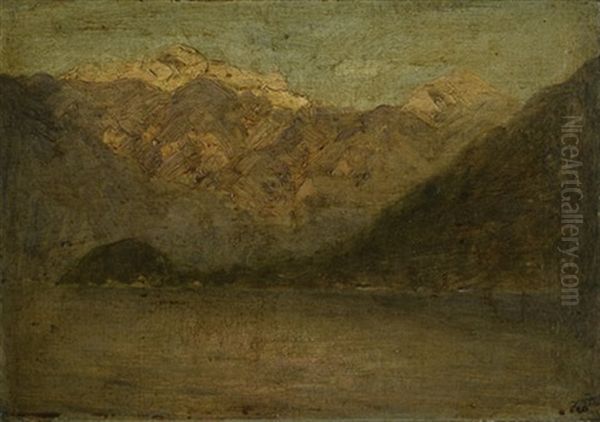 Norwegische Fjordlandschaft - view 1