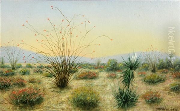 Desert In Bloom - view 1