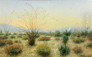 Desert In Bloom by Hugo A. Possner