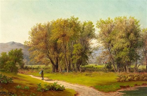 Wanderer In Sommerlicher Landschaft - view 1