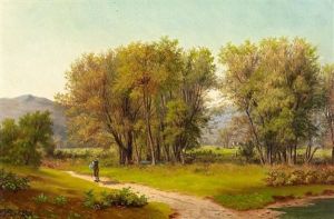 Wanderer In Sommerlicher Landschaft