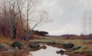 Late Fall