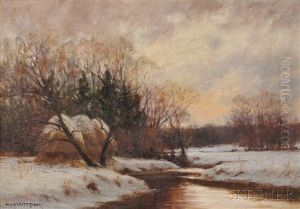 Winter Stream At The Meadow's Edge