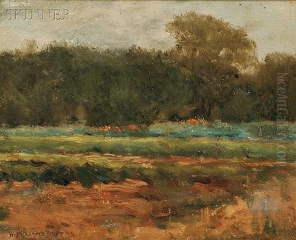 Field - view 1