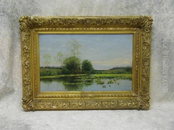 Pond Landscape - view 1