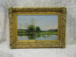Pond Landscape Pond Landscape