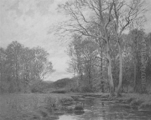 October Tints - view 1