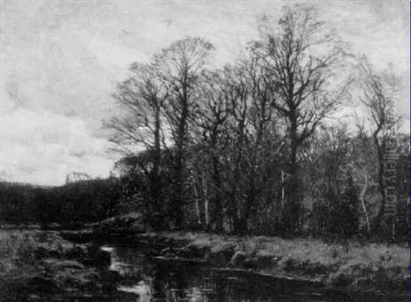 November - view 1
