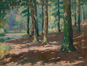 Foret De Soignes A Boitsfort