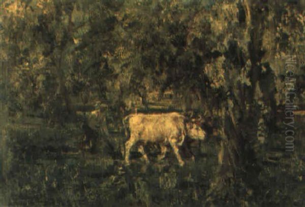 Lavoro Nei Campi - view 1