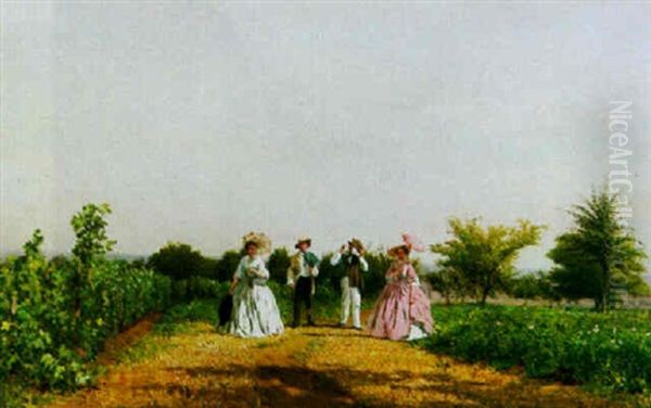 A Walk Among The Vines In Summer - view 1