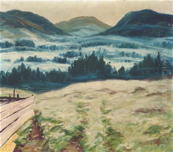 ... Auf Der Teichalm - view 1