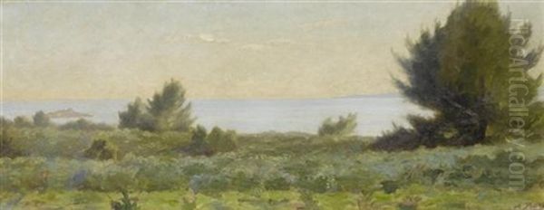 Landschaft Am See - view 1