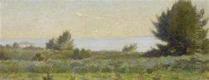 Landschaft Am See Landschaft Am See
