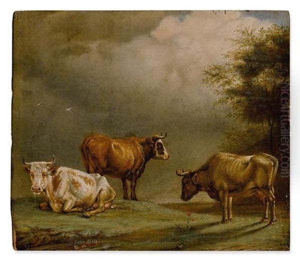 Three Cows In A Pasture - view 1