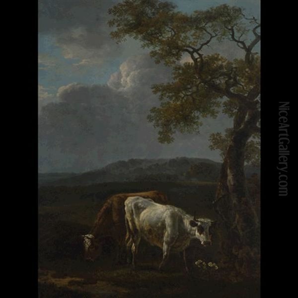 Cattle With Dasies - view 1