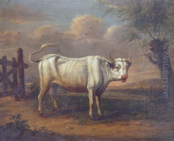 A Study Of A White Bull, Standing Beside A Gate And A Pollarded Willow - view 1
