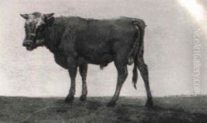 Junger Stier In Einer Hollandischen Landschaft by Paulus Potter