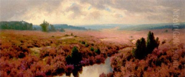 Bluhende Heide - view 1