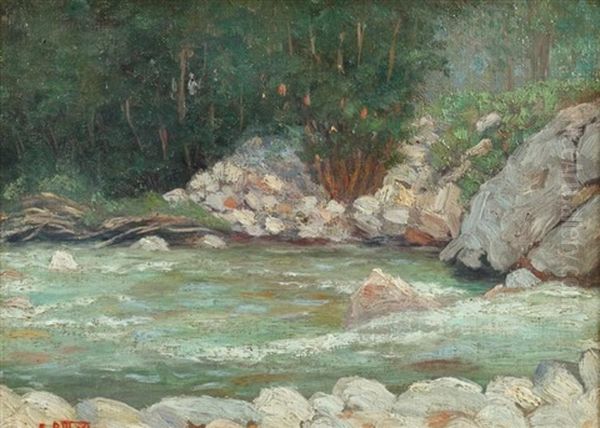 Rushing River - view 1