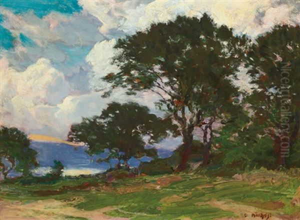 Summer Landscape - view 1