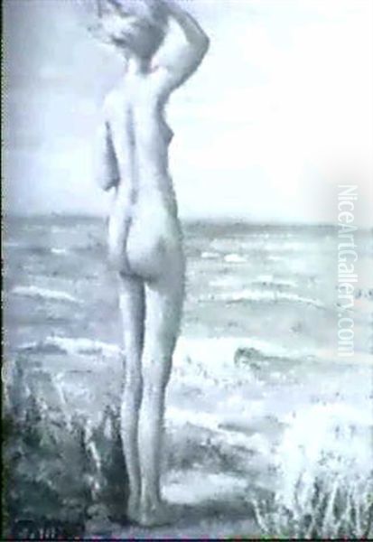 Nude At The Beach Nude Bather - view 1