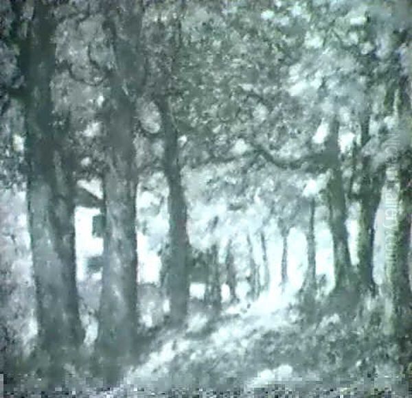 House Through The Trees - view 1